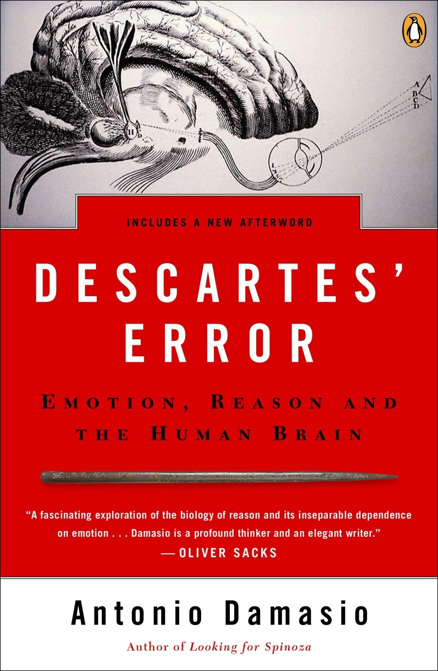 Cover of Descartes' error