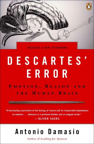 Descartes' error