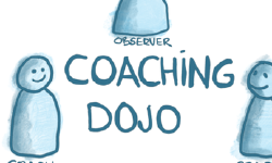 Featured image of post Coaching dojo