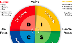 Featured image of post The origins of DISC