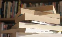 Featured image of post Árboles muertos